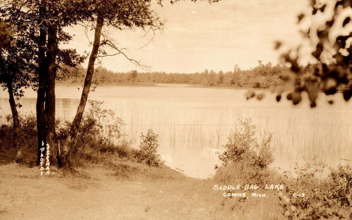 Comins - Old Post Card Photo